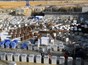 A panoramic view of the Tokamak complex in late December showing the progress of the anti-seismic bearings